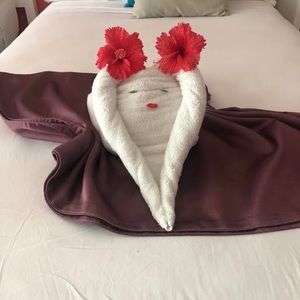 Meet your Posher, Suzanne